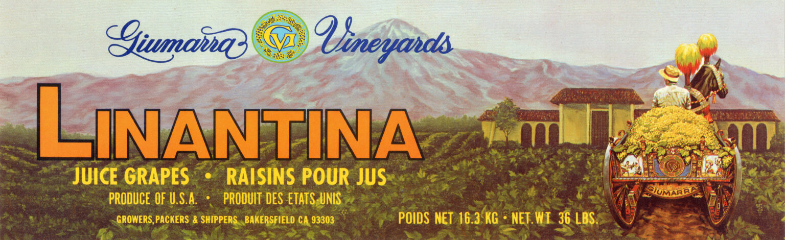 Linantina Linantina